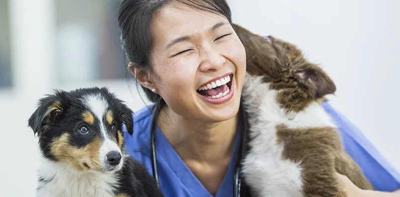 Veterinary nurse holding a dog and a cat at an animal care facility
