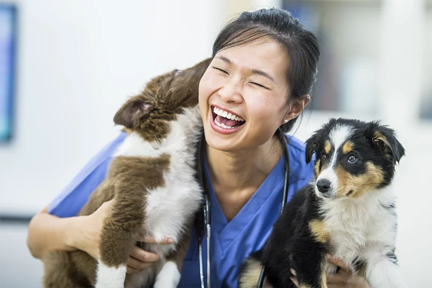 Veterinary nurse holding a dog and a cat